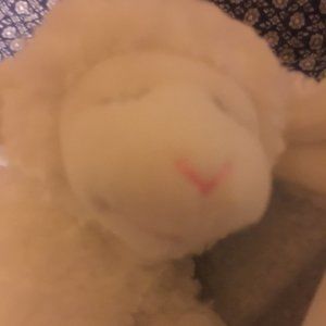 Baby Gund Lamb Rattle White Lamb Stuffed Animal Toy Plush #058133
